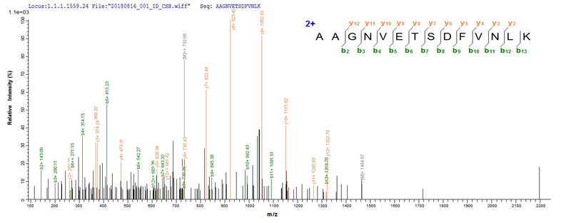 Based on the SEQUEST from database of E.coli host and target protein, the LC-MS/MS Analysis result of this product could indicate that this peptide derived from E.coli-expressed Agrobacterium fabrum (strain C58 / ATCC 33970) (Agrobacterium tumefaciens (strain C58)) VIRE2.Recombinant Agrobacterium Fabrum Single-Strand Dna-Binding Protein (VIRE2) Protein (His&Myc)