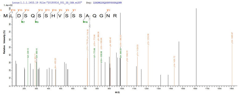 Based on the SEQUEST from database of E.coli host and target protein, the LC-MS/MS Analysis result of this product could indicate that this peptide derived from E.coli-expressed Agrobacterium fabrum (strain C58 / ATCC 33970) (Agrobacterium tumefaciens (strain C58)) VIRE2.Recombinant Agrobacterium Fabrum Single-Strand Dna-Binding Protein (VIRE2) Protein (His&Myc)