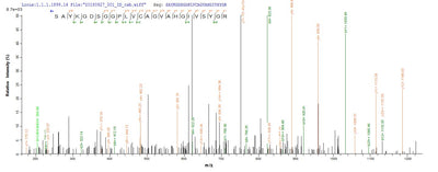 Based on the SEQUEST from database of E.coli host and target protein, the LC-MS/MS Analysis result of this product could indicate that this peptide derived from E.coli-expressed Rattus norvegicus (Rat) Mcpt1.