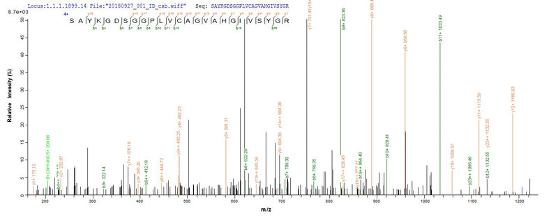 Based on the SEQUEST from database of E.coli host and target protein, the LC-MS/MS Analysis result of this product could indicate that this peptide derived from E.coli-expressed Rattus norvegicus (Rat) Mcpt1.