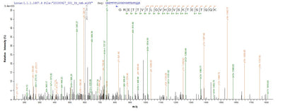 Based on the SEQUEST from database of E.coli host and target protein, the LC-MS/MS Analysis result of this product could indicate that this peptide derived from E.coli-expressed Rattus norvegicus (Rat) Mcpt1.