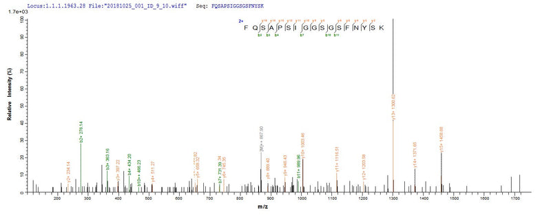 Based on the SEQUEST from database of E.coli host and target protein, the LC-MS/MS Analysis result of this product could indicate that this peptide derived from E.coli-expressed Staphylococcus aureus (strain MW2) hlgA.Recombinant Staphylococcus Aureus Gamma-Hemolysin Component A (HLGA) Protein (His&Myc)