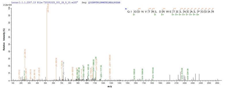 Based on the SEQUEST from database of E.coli host and target protein, the LC-MS/MS Analysis result of this product could indicate that this peptide derived from E.coli-expressed Klebsiella pneumoniae bla.Recombinant Klebsiella Pneumoniae Beta-Lactamase Shv-5 (BLA) Protein (His&Myc)