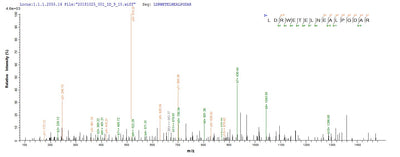 Based on the SEQUEST from database of E.coli host and target protein, the LC-MS/MS Analysis result of this product could indicate that this peptide derived from E.coli-expressed Klebsiella pneumoniae bla.Recombinant Klebsiella Pneumoniae Beta-Lactamase Shv-5 (BLA) Protein (His&Myc)