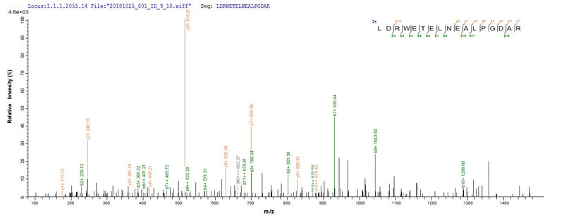 Based on the SEQUEST from database of E.coli host and target protein, the LC-MS/MS Analysis result of this product could indicate that this peptide derived from E.coli-expressed Klebsiella pneumoniae bla.Recombinant Klebsiella Pneumoniae Beta-Lactamase Shv-5 (BLA) Protein (His&Myc)