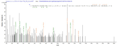 Based on the SEQUEST from database of E.coli host and target protein, the LC-MS/MS Analysis result of this product could indicate that this peptide derived from E.coli-expressed Escherichia coli (strain K12) coaE.Recombinant E.Coli Dephospho-Coa Kinase (COAE) Protein (His-SUMO&Myc)