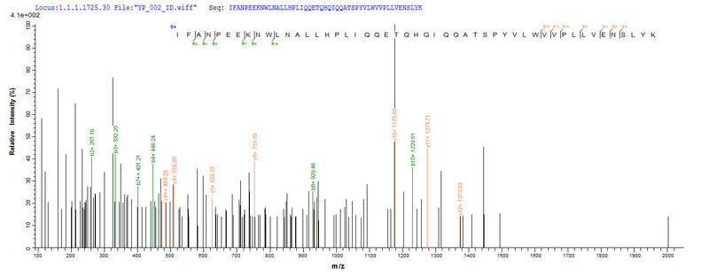 Based on the SEQUEST from database of E.coli host and target protein, the LC-MS/MS Analysis result of this product could indicate that this peptide derived from E.coli-expressed Escherichia coli (strain K12) coaE.Recombinant E.Coli Dephospho-Coa Kinase (COAE) Protein (His-SUMO&Myc)
