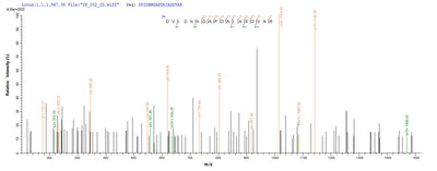 Based on the SEQUEST from database of E.coli host and target protein, the LC-MS/MS Analysis result of this product could indicate that this peptide derived from E.coli-expressed Escherichia coli (strain K12) coaE.Recombinant E.Coli Dephospho-Coa Kinase (COAE) Protein (His-SUMO&Myc)