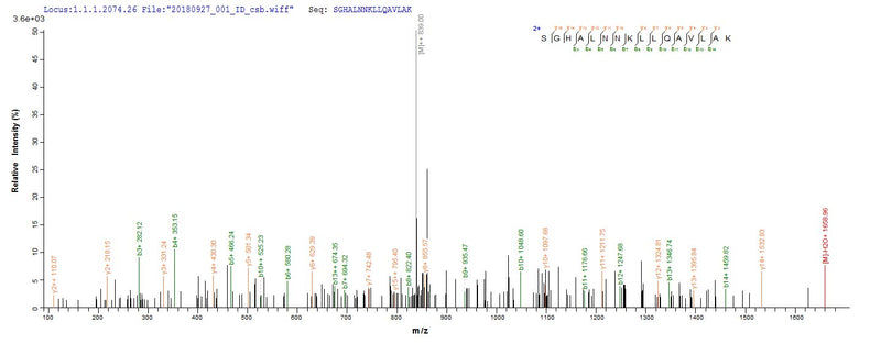 Based on the SEQUEST from database of E.coli host and target protein, the LC-MS/MS Analysis result of this product could indicate that this peptide derived from E.coli-expressed Escherichia coli (strain K12) lpxC.