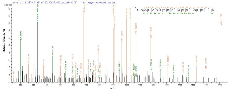 Based on the SEQUEST from database of E.coli host and target protein, the LC-MS/MS Analysis result of this product could indicate that this peptide derived from E.coli-expressed Escherichia coli (strain K12) talB.