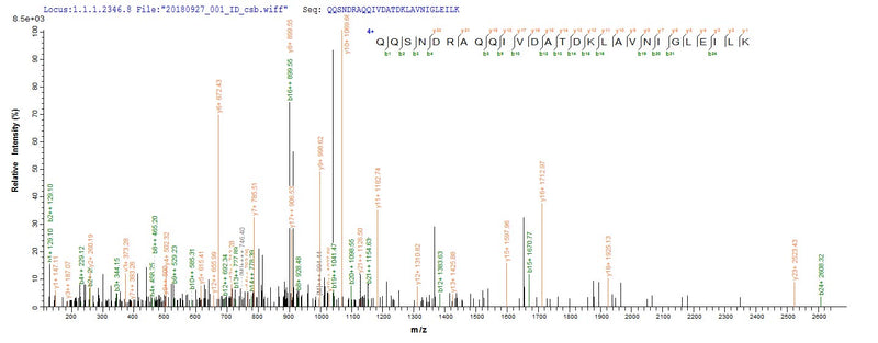 Based on the SEQUEST from database of E.coli host and target protein, the LC-MS/MS Analysis result of this product could indicate that this peptide derived from E.coli-expressed Escherichia coli (strain K12) talB.