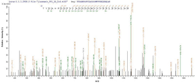 Based on the SEQUEST from database of E.coli host and target protein, the LC-MS/MS Analysis result of this product could indicate that this peptide derived from E.coli-expressed Escherichia coli (strain K12) fabB.