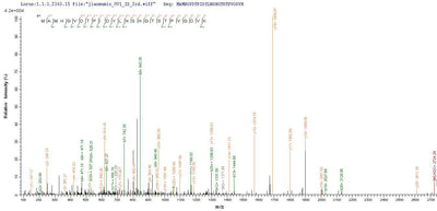 Based on the SEQUEST from database of E.coli host and target protein, the LC-MS/MS Analysis result of this product could indicate that this peptide derived from E.coli-expressed Escherichia coli (strain K12) fabB.