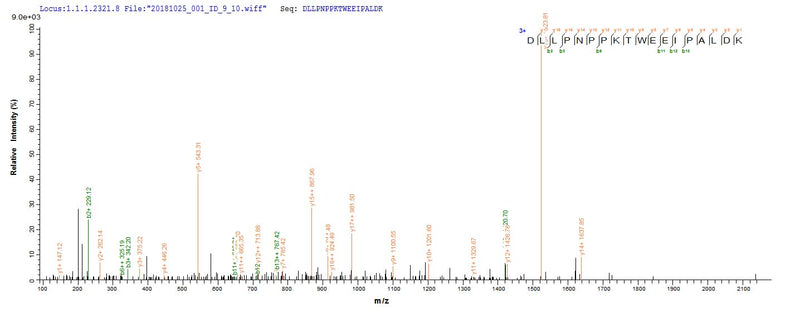 Based on the SEQUEST from database of E.coli host and target protein, the LC-MS/MS Analysis result of this product could indicate that this peptide derived from E.coli-expressed Escherichia coli (strain K12) malE.