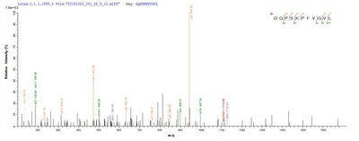 Based on the SEQUEST from database of E.coli host and target protein, the LC-MS/MS Analysis result of this product could indicate that this peptide derived from E.coli-expressed Escherichia coli (strain K12) malE.