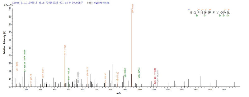 Based on the SEQUEST from database of E.coli host and target protein, the LC-MS/MS Analysis result of this product could indicate that this peptide derived from E.coli-expressed Escherichia coli (strain K12) malE.