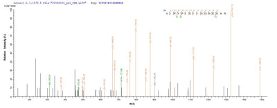 Based on the SEQUEST from database of E.coli host and target protein, the LC-MS/MS Analysis result of this product could indicate that this peptide derived from E.coli-expressed Escherichia coli O6:H1 (strain CFT073 / ATCC 700928 / UPEC) ppx.Recombinant E.Coli O6:H1 Exopolyphosphatase (PPX) Protein (His)