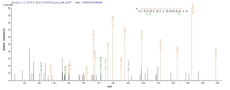 Based on the SEQUEST from database of E.coli host and target protein, the LC-MS/MS Analysis result of this product could indicate that this peptide derived from E.coli-expressed Escherichia coli O6:H1 (strain CFT073 / ATCC 700928 / UPEC) ppx.Recombinant E.Coli O6:H1 Exopolyphosphatase (PPX) Protein (His)