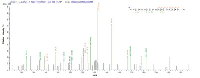 Based on the SEQUEST from database of E.coli host and target protein, the LC-MS/MS Analysis result of this product could indicate that this peptide derived from E.coli-expressed Escherichia coli O6:H1 (strain CFT073 / ATCC 700928 / UPEC) ppx.Recombinant E.Coli O6:H1 Exopolyphosphatase (PPX) Protein (His)