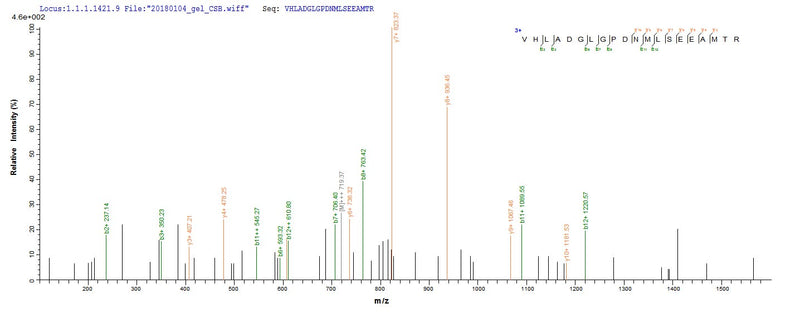Based on the SEQUEST from database of E.coli host and target protein, the LC-MS/MS Analysis result of this product could indicate that this peptide derived from E.coli-expressed Escherichia coli O6:H1 (strain CFT073 / ATCC 700928 / UPEC) ppx.Recombinant E.Coli O6:H1 Exopolyphosphatase (PPX) Protein (His)