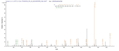 Based on the SEQUEST from database of E.coli host and target protein, the LC-MS/MS Analysis result of this product could indicate that this peptide derived from E.coli-expressed Escherichia coli O157:H7 sspB.