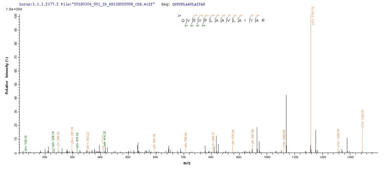 Based on the SEQUEST from database of E.coli host and target protein, the LC-MS/MS Analysis result of this product could indicate that this peptide derived from E.coli-expressed Escherichia coli O157:H7 sspB.