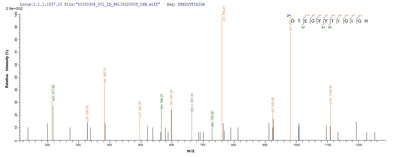 Based on the SEQUEST from database of E.coli host and target protein, the LC-MS/MS Analysis result of this product could indicate that this peptide derived from E.coli-expressed Enterobacteria phage T4 (Bacteriophage T4) E.Recombinant Enterobacteria Phage T4 Endolysin (E) Protein (His-SUMO)