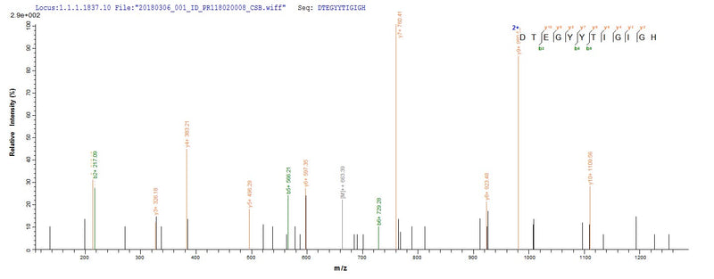 Based on the SEQUEST from database of E.coli host and target protein, the LC-MS/MS Analysis result of this product could indicate that this peptide derived from E.coli-expressed Enterobacteria phage T4 (Bacteriophage T4) E.Recombinant Enterobacteria Phage T4 Endolysin (E) Protein (His-SUMO)