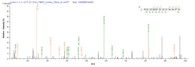 Based on the SEQUEST from database of E.coli host and target protein, the LC-MS/MS Analysis result of this product could indicate that this peptide derived from E.coli-expressed Escherichia coli (strain K12) phrB.Recombinant E.Coli Deoxyribodipyrimidine Photo-Lyase (PHRB) Protein (His-SUMO&Myc)