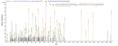 Based on the SEQUEST from database of E.coli host and target protein, the LC-MS/MS Analysis result of this product could indicate that this peptide derived from E.coli-expressed Mus musculus (Mouse) Ins2.