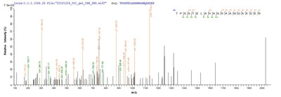 Based on the SEQUEST from database of E.coli host and target protein, the LC-MS/MS Analysis result of this product could indicate that this peptide derived from E.coli-expressed Escherichia coli cea.Recombinant E.Coli Colicin-E1 (CEA) Protein (His&Myc)
