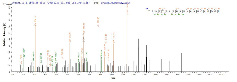Based on the SEQUEST from database of E.coli host and target protein, the LC-MS/MS Analysis result of this product could indicate that this peptide derived from E.coli-expressed Escherichia coli cea.Recombinant E.Coli Colicin-E1 (CEA) Protein (His&Myc)