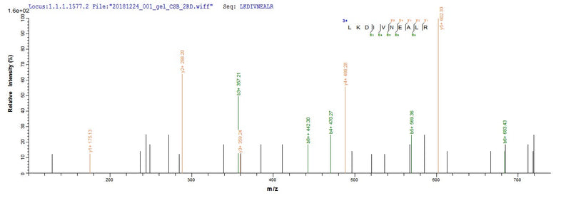 Based on the SEQUEST from database of E.coli host and target protein, the LC-MS/MS Analysis result of this product could indicate that this peptide derived from E.coli-expressed Escherichia coli cea.Recombinant E.Coli Colicin-E1 (CEA) Protein (His&Myc)