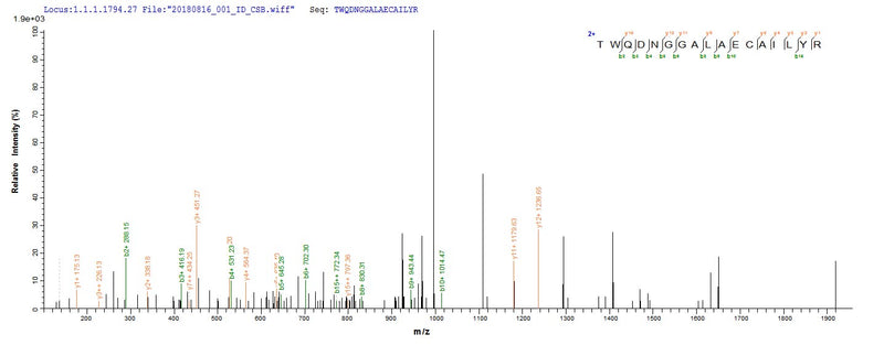 Based on the SEQUEST from database of E.coli host and target protein, the LC-MS/MS Analysis result of this product could indicate that this peptide derived from E.coli-expressed Escherichia coli (strain K12) uvrD.Recombinant E.Coli Dna Helicase Ii (UVRD)