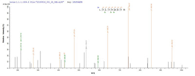 Based on the SEQUEST from database of E.coli host and target protein, the LC-MS/MS Analysis result of this product could indicate that this peptide derived from E.coli-expressed Escherichia coli (strain K12) uvrD.Recombinant E.Coli Dna Helicase Ii (UVRD)