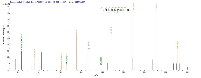 Based on the SEQUEST from database of E.coli host and target protein, the LC-MS/MS Analysis result of this product could indicate that this peptide derived from E.coli-expressed Escherichia coli (strain K12) uvrD.Recombinant E.Coli Dna Helicase Ii (UVRD)
