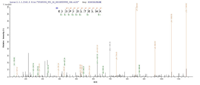 Based on the SEQUEST from database of E.coli host and target protein, the LC-MS/MS Analysis result of this product could indicate that this peptide derived from E.coli-expressed Staphylococcus aureus repD.Recombinant Staphylococcus Aureus Replication Initiation Protein (REPD) Protein (His-SUMO)