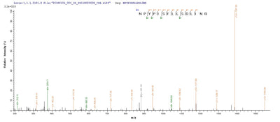 Based on the SEQUEST from database of E.coli host and target protein, the LC-MS/MS Analysis result of this product could indicate that this peptide derived from E.coli-expressed BK polyomavirus (BKPyV) (Human polyomavirus 1) N/A.Recombinant Bk Polyomavirus Major Capsid Protein Vp1 Protein (His&Myc)