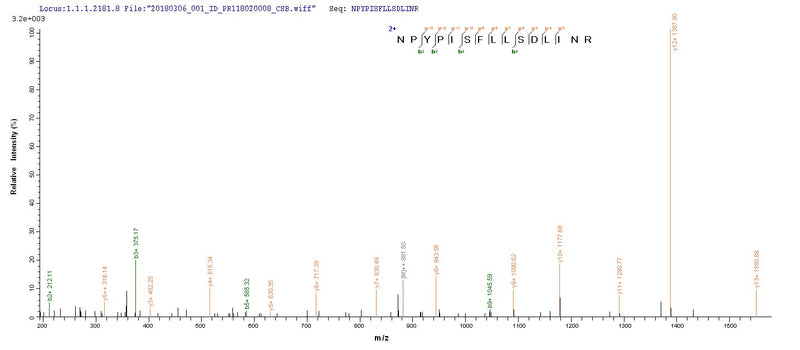 Based on the SEQUEST from database of E.coli host and target protein, the LC-MS/MS Analysis result of this product could indicate that this peptide derived from E.coli-expressed BK polyomavirus (BKPyV) (Human polyomavirus 1) N/A.Recombinant Bk Polyomavirus Major Capsid Protein Vp1 Protein (His&Myc)