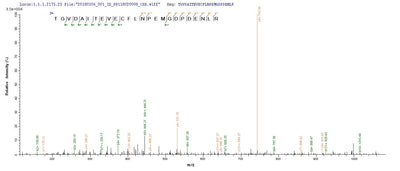 Based on the SEQUEST from database of E.coli host and target protein, the LC-MS/MS Analysis result of this product could indicate that this peptide derived from E.coli-expressed BK polyomavirus (BKPyV) (Human polyomavirus 1) N/A.Recombinant Bk Polyomavirus Major Capsid Protein Vp1 Protein (His&Myc)