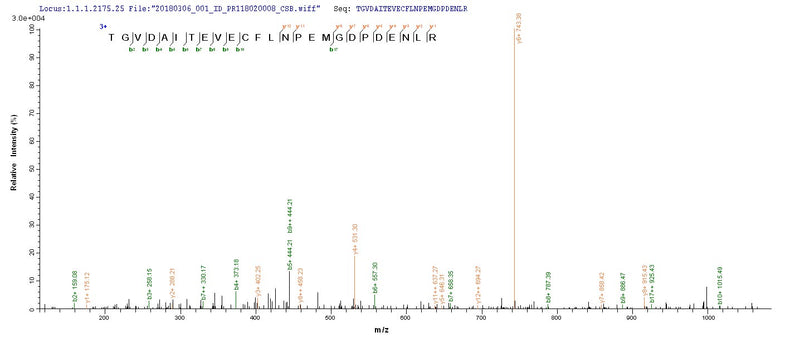 Based on the SEQUEST from database of E.coli host and target protein, the LC-MS/MS Analysis result of this product could indicate that this peptide derived from E.coli-expressed BK polyomavirus (BKPyV) (Human polyomavirus 1) N/A.Recombinant Bk Polyomavirus Major Capsid Protein Vp1 Protein (His&Myc)