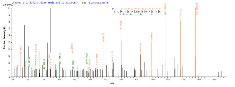 Based on the SEQUEST from database of E.coli host and target protein, the LC-MS/MS Analysis result of this product could indicate that this peptide derived from E.coli-expressed Epstein-Barr virus (strain B95-8) (HHV-4) (Human herpesvirus 4) BLLF1.Recombinant Epstein-Barr Virus Envelope Glycoprotein Gp350 (BLLF1) Protein (His-SUMO)