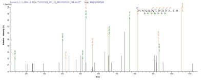 Based on the SEQUEST from database of E.coli host and target protein, the LC-MS/MS Analysis result of this product could indicate that this peptide derived from E.coli-expressed Human adenovirus C serotype 5 (HAdV-5) (Human adenovirus 5) L3.Recombinant Human Adenovirus C Serotype 5 Protease (L3) Protein (His&Myc)