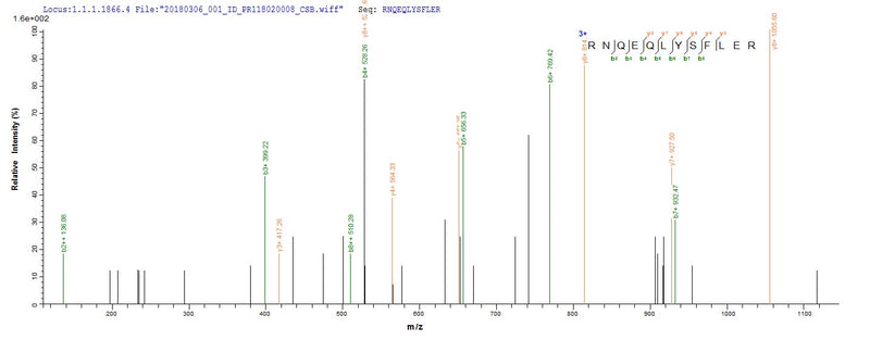 Based on the SEQUEST from database of E.coli host and target protein, the LC-MS/MS Analysis result of this product could indicate that this peptide derived from E.coli-expressed Human adenovirus C serotype 5 (HAdV-5) (Human adenovirus 5) L3.Recombinant Human Adenovirus C Serotype 5 Protease (L3) Protein (His&Myc)