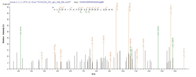 Based on the SEQUEST from database of E.coli host and target protein, the LC-MS/MS Analysis result of this product could indicate that this peptide derived from E.coli-expressed Human T-cell leukemia virus 1 (strain Japan ATK-1 subtype A) (HTLV-1) tax.