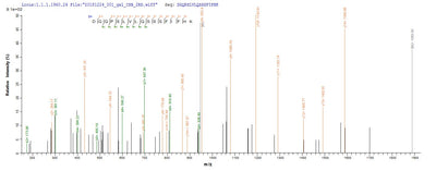 Based on the SEQUEST from database of E.coli host and target protein, the LC-MS/MS Analysis result of this product could indicate that this peptide derived from E.coli-expressed Human T-cell leukemia virus 1 (strain Japan ATK-1 subtype A) (HTLV-1) tax.