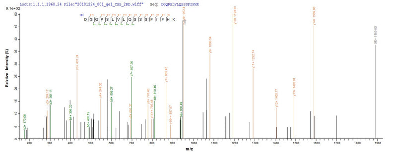 Based on the SEQUEST from database of E.coli host and target protein, the LC-MS/MS Analysis result of this product could indicate that this peptide derived from E.coli-expressed Human T-cell leukemia virus 1 (strain Japan ATK-1 subtype A) (HTLV-1) tax.