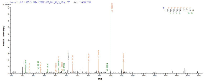 Based on the SEQUEST from database of E.coli host and target protein, the LC-MS/MS Analysis result of this product could indicate that this peptide derived from E.coli-expressed SaccharoMyces cerevisiae (strain ATCC 204508 / S288c) (Baker&Recombinant Saccharomyces Cerevisiae Site-Specific Recombinase Flp (FLP1) Protein (His)