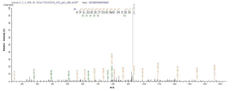 Based on the SEQUEST from database of E.coli host and target protein, the LC-MS/MS Analysis result of this product could indicate that this peptide derived from E.coli-expressed Enterobacteria phage T4 (Bacteriophage T4) UVSX.Recombinant Enterobacteria Phage T4 Recombination And Repair Protein (UVSX) Protein (His-SUMO)
