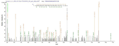 Based on the SEQUEST from database of E.coli host and target protein, the LC-MS/MS Analysis result of this product could indicate that this peptide derived from E.coli-expressed Enterobacteria phage T4 (Bacteriophage T4) UVSX.Recombinant Enterobacteria Phage T4 Recombination And Repair Protein (UVSX) Protein (His-SUMO)